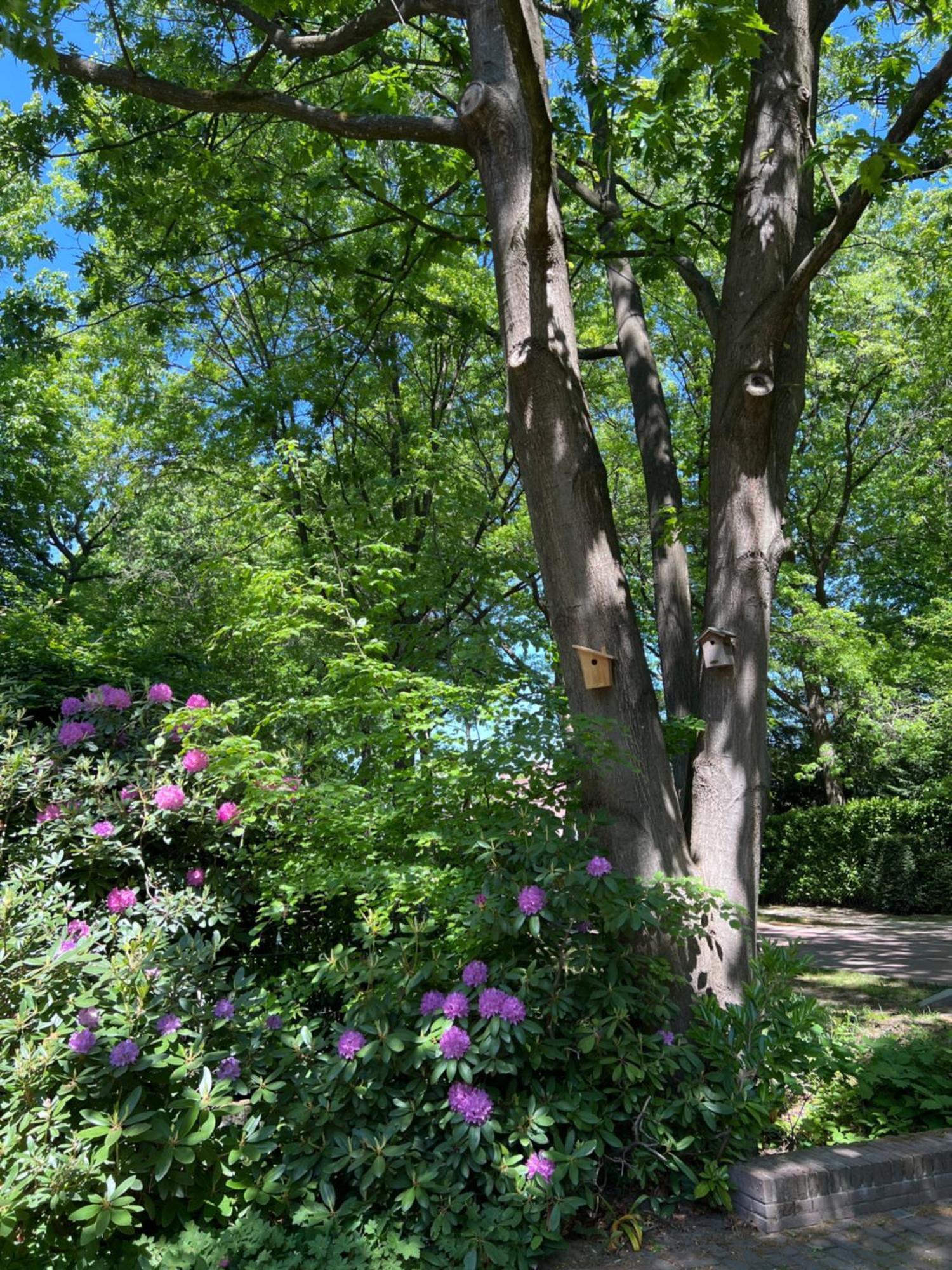 De Merel Vught Exterior foto